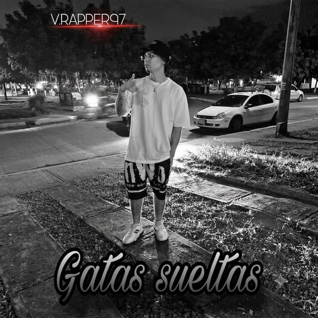 Gatas Sueltas (feat. V Rapper 97)