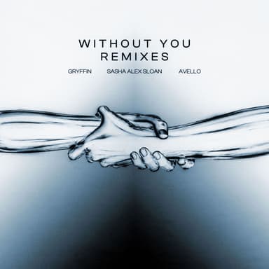 Without You (Remixes)