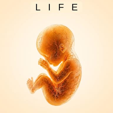 Life 2026