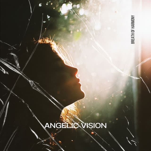 Angelic Vision