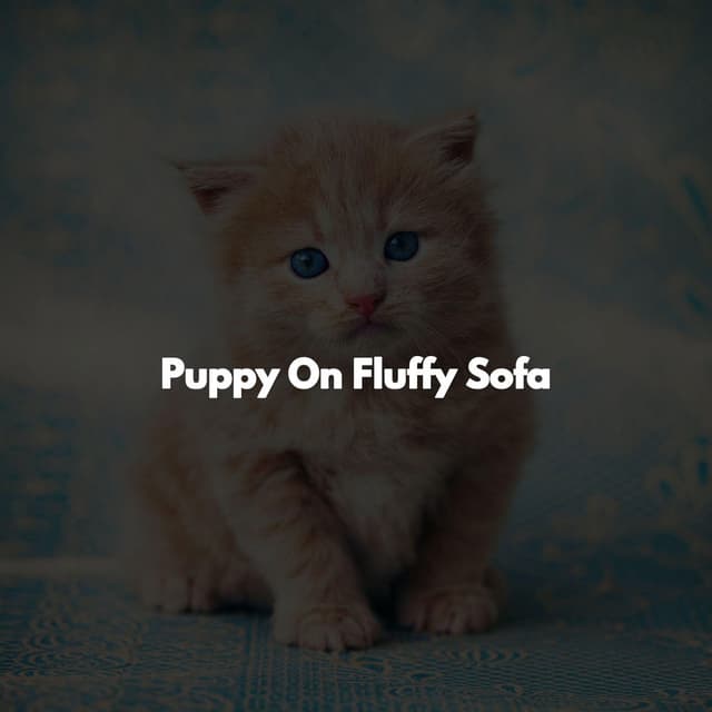 Puppy On Fluffy Sofa
