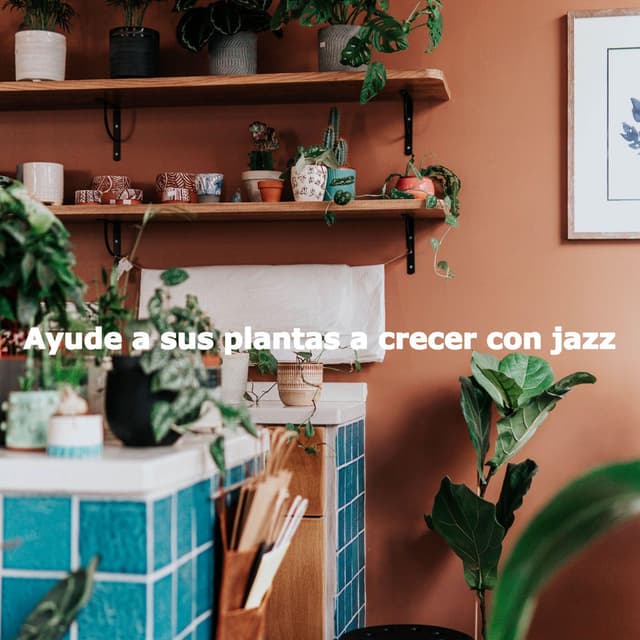 Ayude a sus plantas a crecer con jazz