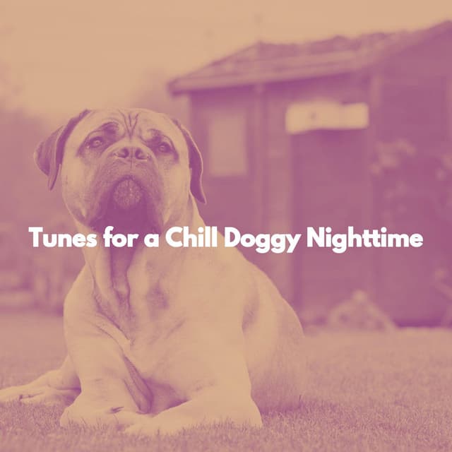 Tunes for a Chill Doggy Nighttime