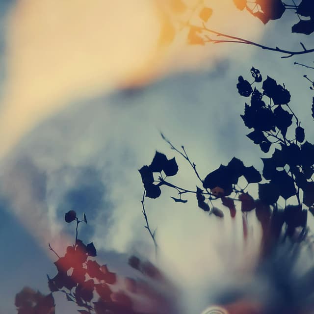Night's End