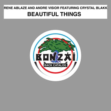 Beautiful Things (Para X Instrumental Remix)