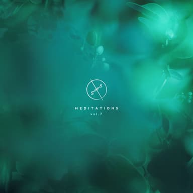 Meditations, Vol. 7