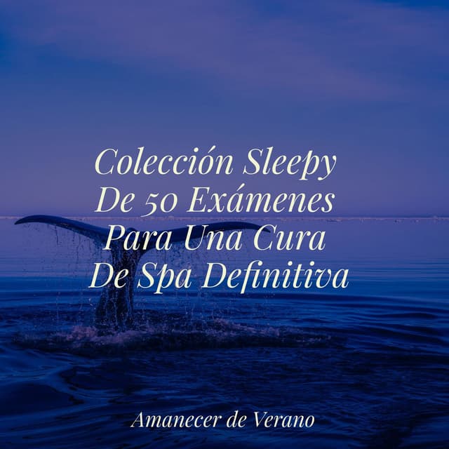 Colección Sleepy De 50 Exámenes Para Una Cura De Spa Definitiva