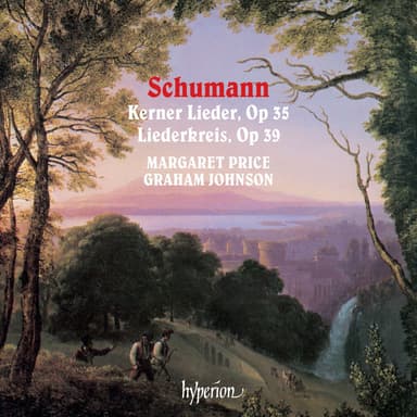 Schumann: 12 Gedichte, Op. 35 "Kerner Lieder": No. 11, Wer machte dich so krank?