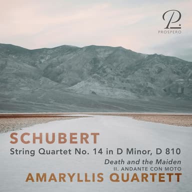 String Quartet No. 14 in D Minor, D. 810, "Death and the Maiden": II. Andante con moto