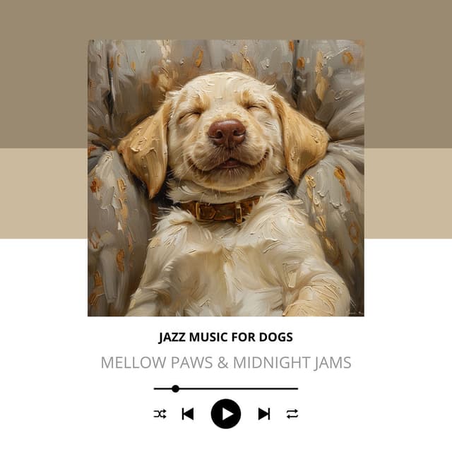 Mellow Paws & Midnight Jams