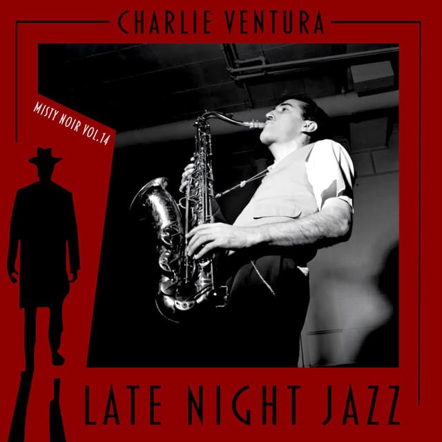 Misty Noir, Vol. 14 - Late Night Jazz