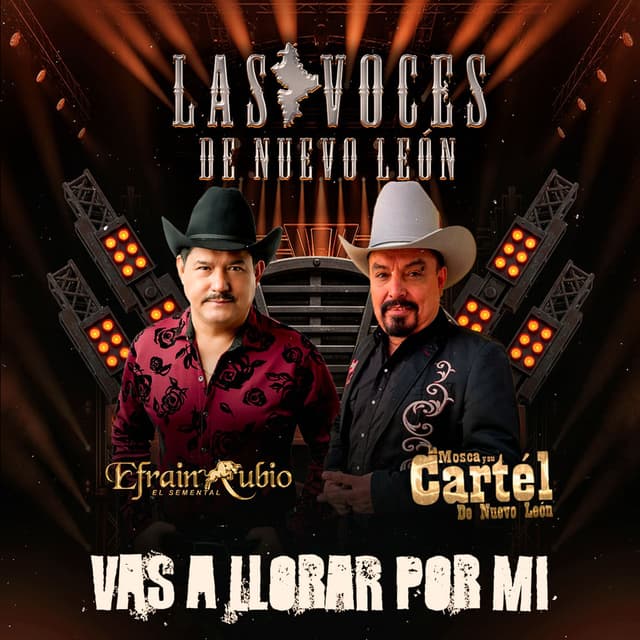 Vas a Llorar por Mi