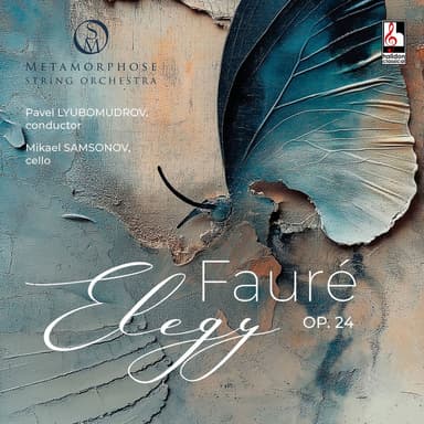 Elegie, Op. 24 (Arr. for Cello & String Orchestra by P. Lyubomudrov)