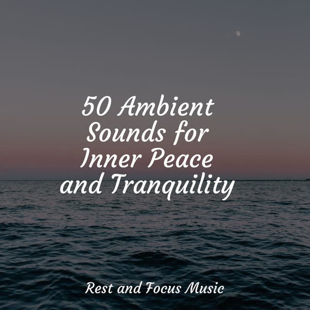 50 Ambient Sounds for Inner Peace and Tranquility