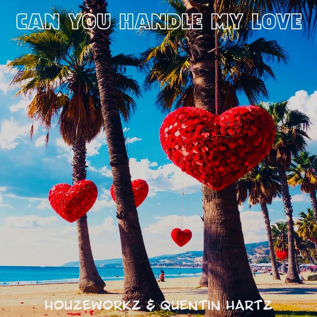 Can You Handle My Love (Extended Mix)