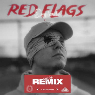 Red Flags (feat. Alex Skrindo & Langhoff) (REMIX)