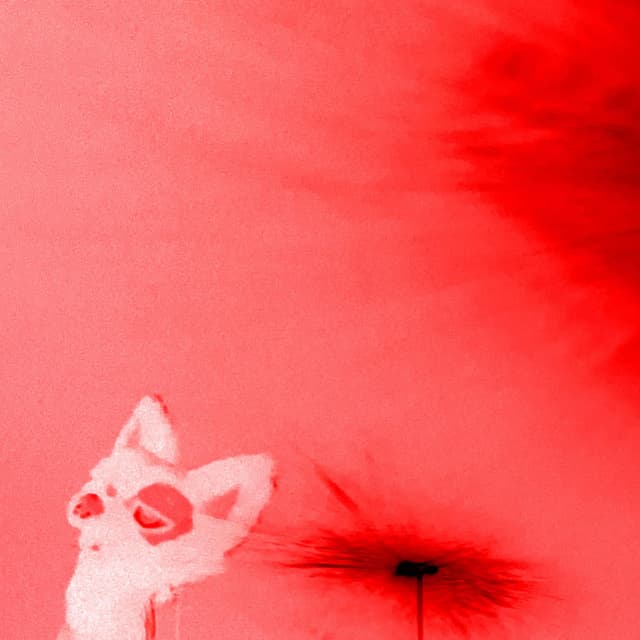 BAD VIBES
