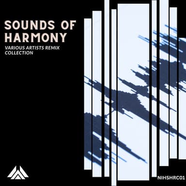 Dreams We Had in Ceylon (Greg Tomaz Remix)