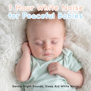 1 Hour White Noise for Peaceful Babies: Gentle Night Sounds, Sleep Aid White Noise