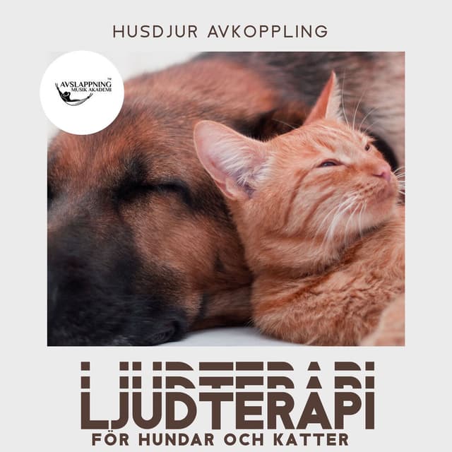 Husdjur avkoppling: Ljudterapi för hundar och katter, Lugna ner din fyrbenta vänner, Minska ångest