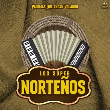 Palomas Que Andan Volando