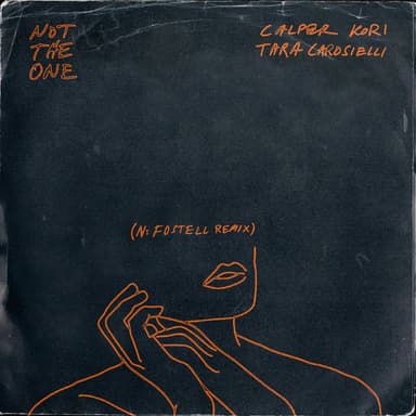 Not The One (N:Fostell Remix Extended Edit)