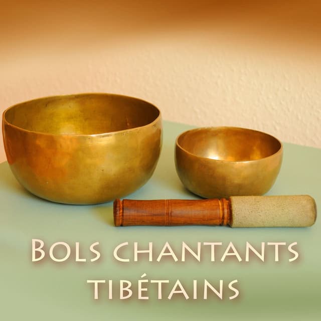 Bols chantants tibétains pour la détente avec la musique pour le bien-être: sommeil profond, massothérapie, zen spa, alpha apprent