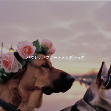 パウジティブリー・メロディック