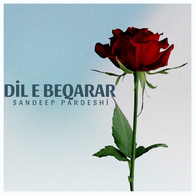 Dil E Beqarar