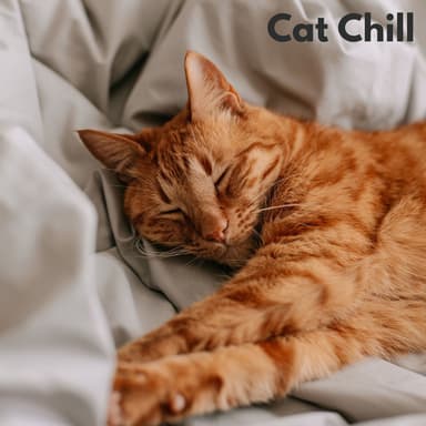 Cat Chill - Loopable, No Fade