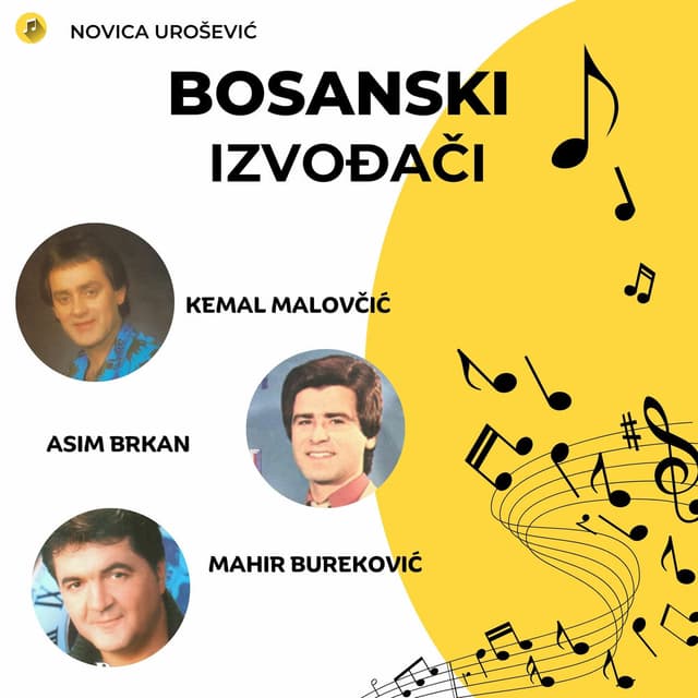 Najlepse pesme bosanskih izvodjaca