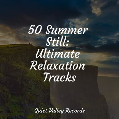 50 Summer Still: Ultimate Relaxation Tracks