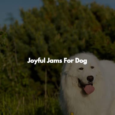 Joyful Jams For Dog